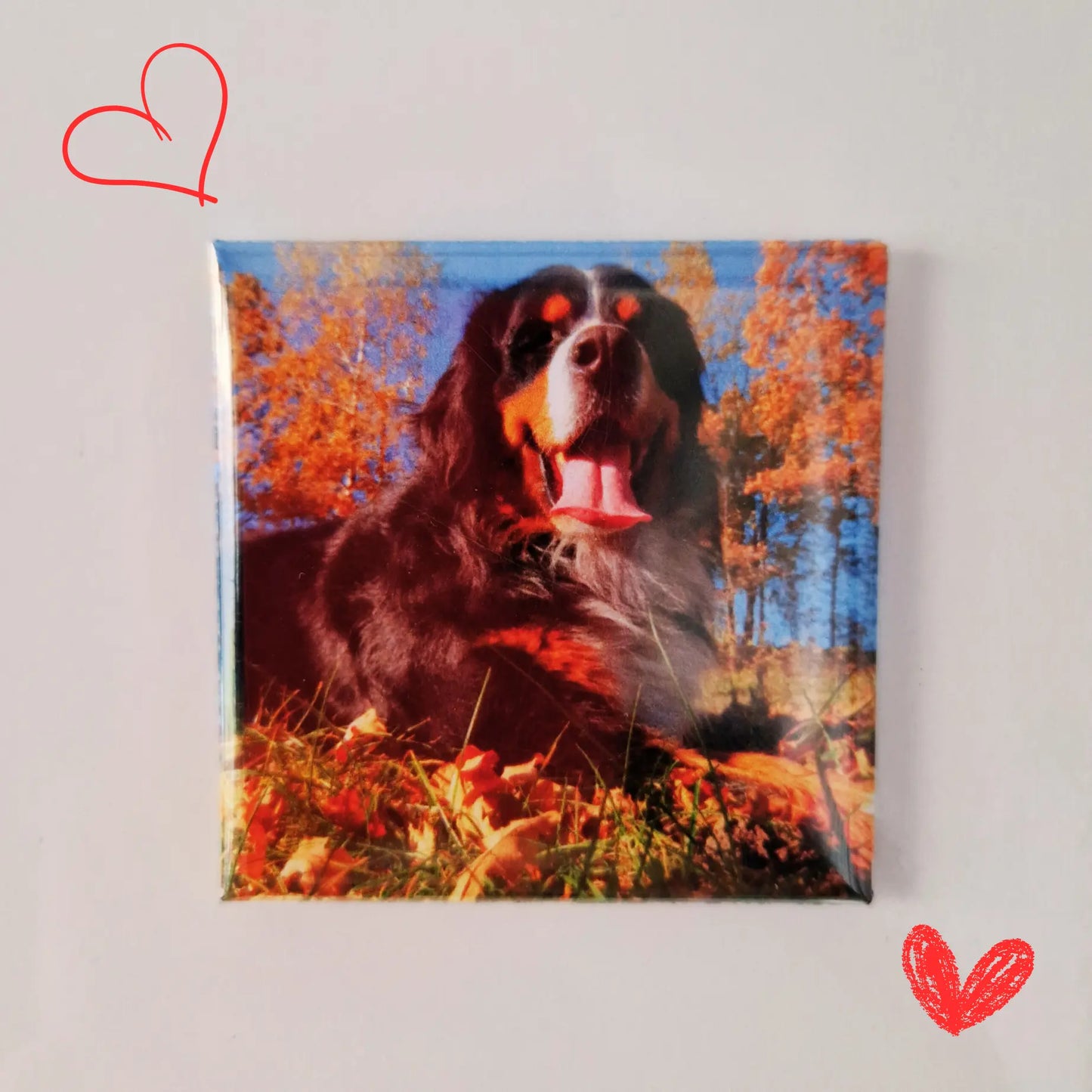 A close-up of a magnet featuring a photo of a dog, with the image clearly visible. The background includes soft, scattered hearts, creating a warm and playful atmosphere around the magnet.
